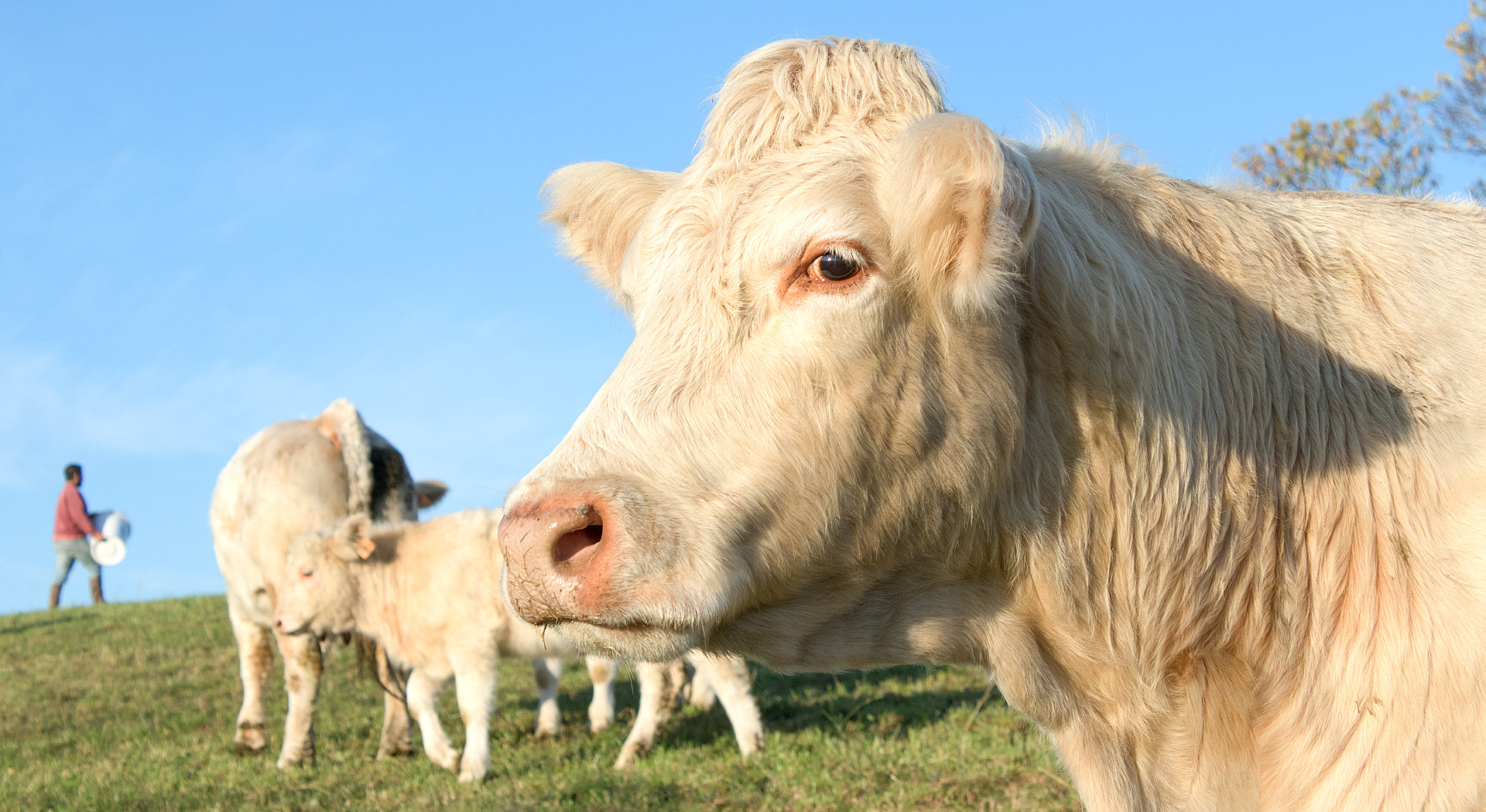 illustration utilisée pour la page Accueil