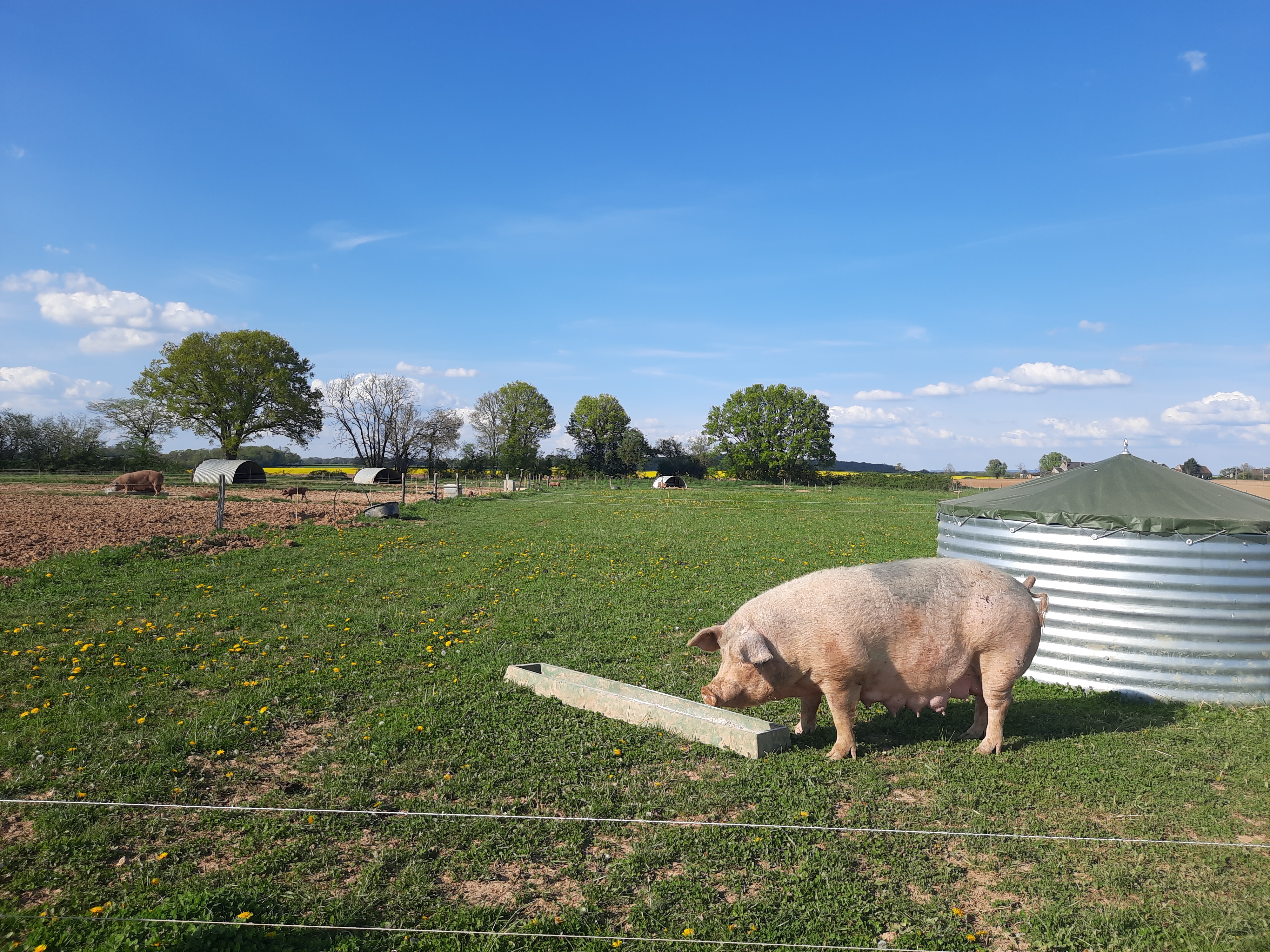 illustration utilisée pour la page Accueil