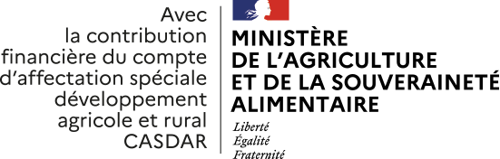 logo Casdar